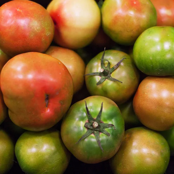 Fresh Tomatoes Background Organic Ripe Various Tomatoes Market — Stock Photo, Image