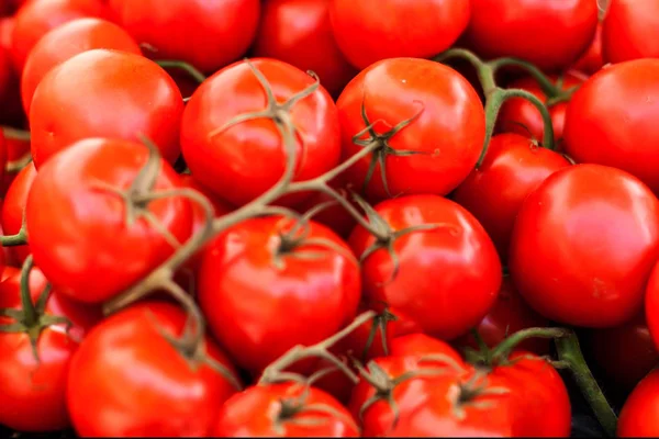 Nahaufnahme Von Frischen Bio Tomaten Auf Dem Bauernmarkt Freien Gesundes — Stockfoto