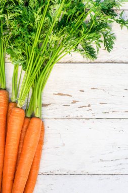 Birkaç havuç... Taze havuç yığın yeşil saplı. Çiğ havuç rustik Beyaz ahşap zemin üzerinde. Yakın çekim.