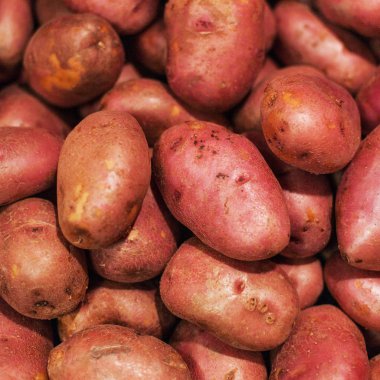 Çiğ patates, gıda arka plan. Taze patates bakkal ham organik kırmızı patates