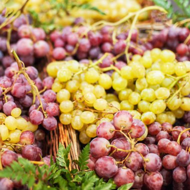 Üzüm arka plan. Organik olgun kırmızı ve beyaz üzüm piyasası. Kavram hasat. Yerel bir pazarda üzüm