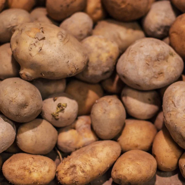 Rohe Kartoffeln Lebensmittel Hintergrund Frische Kartoffeln Rohe Bio Goldkartoffeln Lebensmittelladen — Stockfoto