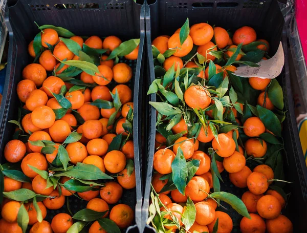 Citrus. Färska mandariner — Stockfoto
