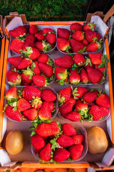 Fresh Ripe Strawberries Plastic Containers — Stock Photo, Image