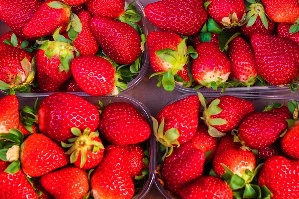 Frische Reife Erdbeeren Plastikbehältern — Stockfoto