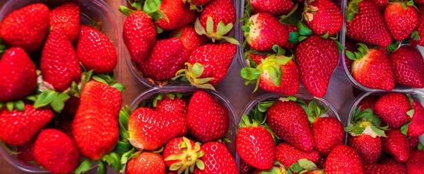 Fresh Ripe Strawberries Plastic Containers — Stock Photo, Image