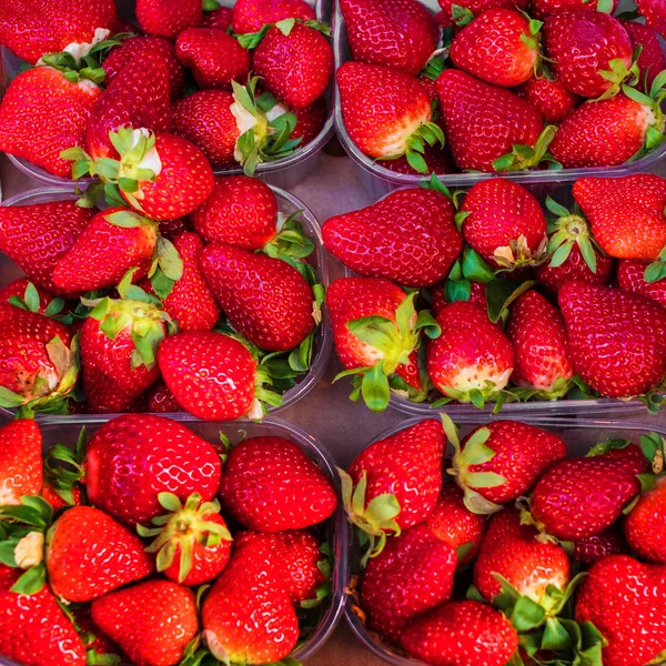Fresh Ripe Strawberries Plastic Containers — Stock Photo, Image