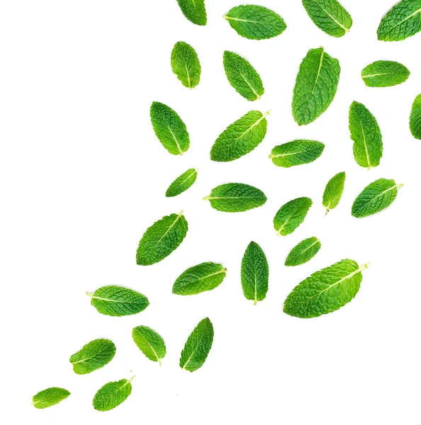 Fresh mint leaves pattern isolated on white background