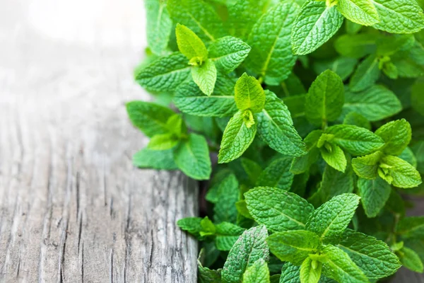 Hojas Menta Fresca Sobre Fondo Madera —  Fotos de Stock