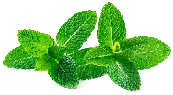 Fresh Spearmint Leaves Isolated White Background — Stock Photo, Image