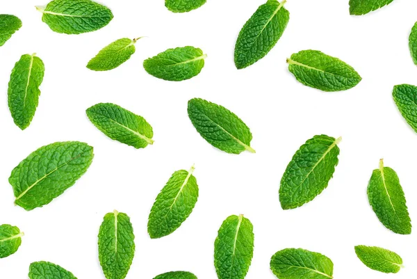Fresh mint leaves pattern isolated on white background