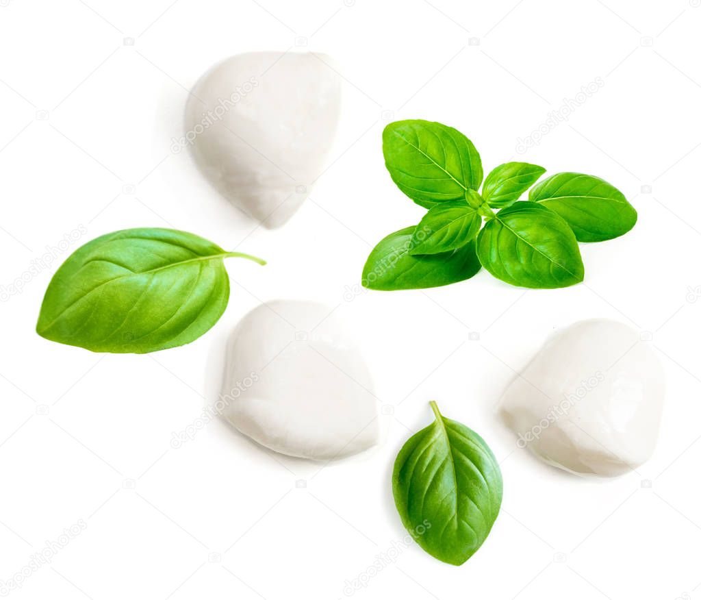 Mozzarella cheese and basil leaf  isolated on white background. Top vie