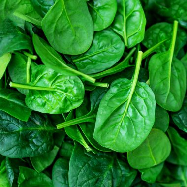 Yaprakları taze bebek ıspanak yığın Görünümü Kapat