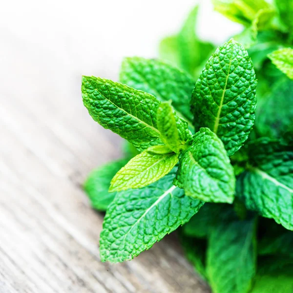 Close View Fresh Mint Leaves Wooden Background — Stock Photo, Image