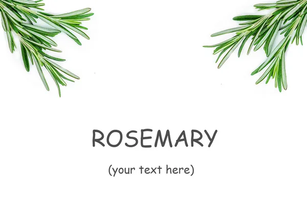 Creative Food Background Rosemary Herb — Stock Photo, Image
