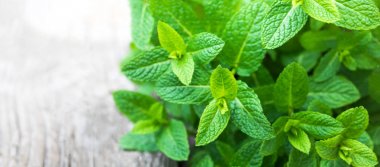 Taze nane yaprağı, Melisa bitki kopya ile ahşap arka plan üzerinde