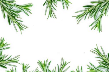 İzole Rosemary. Biberiye bitki ile yaratıcı yiyecekler arka plan. 