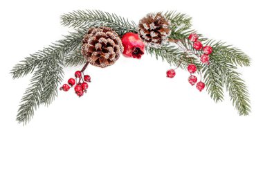 Noel yaratıcı düzeni köknar ağacı dalları, dekorasyonları...