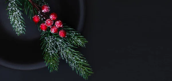 Christmas composition with fir tree and red berries  on dark  ba — ストック写真