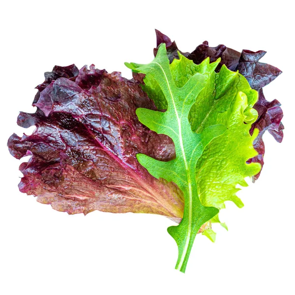 Saladebladeren Geïsoleerd Gemengde Saladebladeren Met Spinazie Snijbiet Sla Rucola Witte — Stockfoto