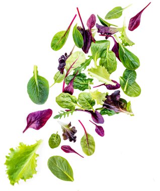 Uçan Salata Yaprakları beyaz arka planda izole edildi. Roka, marul, pazı, ıspanak yaprakları.
