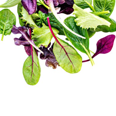Uçan Salata Yaprakları beyaz arka planda izole edildi. Taze salata. Roka, marul, pazı, ıspanak karışımı. 