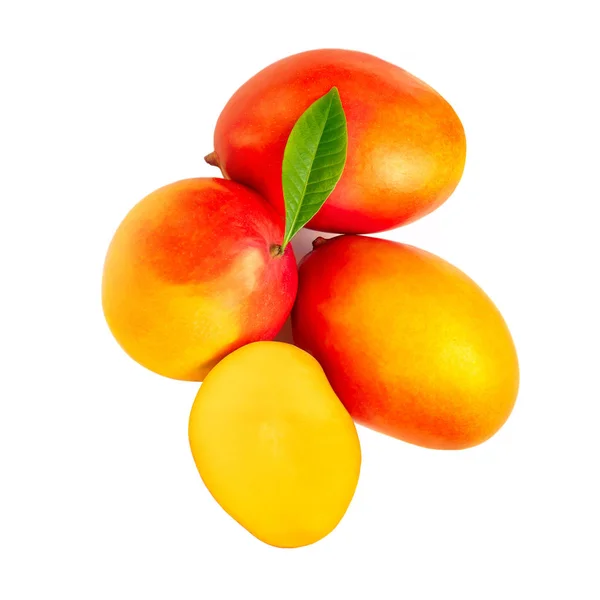 Mango Aislado Sobre Fondo Blanco Concepto Tropical Montón Frutas Frescas — Foto de Stock
