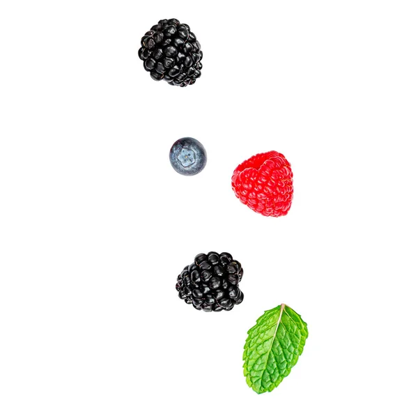 孤立的浆果 在白色背景上分离的混合浆果 覆盆子蓝莓黑莓 红醋栗和薄荷叶 — 图库照片