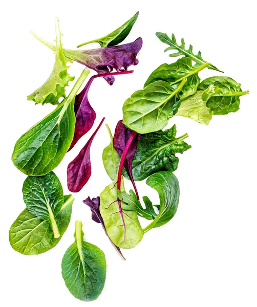 Uçan Salata Yaprakları beyaz arka planda izole edildi. Taze salata. Roka, marul, pazı, ıspanak karışımı. 