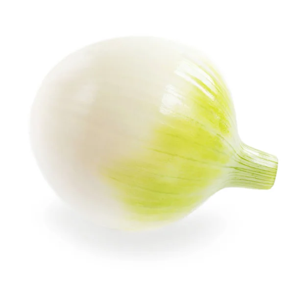 Cebolla blanca fresca aislada sobre fondo blanco. Cebolla madura. Foo. — Foto de Stock