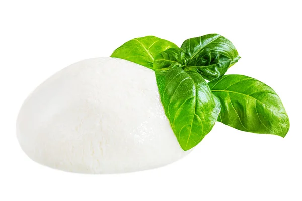 Queijo Mozzarella isolado. Bola de mussarela italiana tradicional — Fotografia de Stock