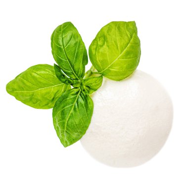 Mozzarella peyniri izole edildi. Geleneksel İtalyan Mozzarella topu 