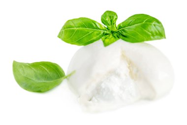 Mozzarella peyniri izole edildi. Geleneksel İtalyan Mozzarella topu 