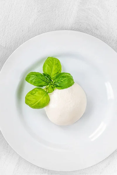 Traditionele Italiaanse Mozzarella kaas en basilicum blad op witte pl — Stockfoto