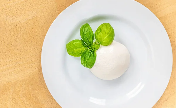 Traditional Italian Mozzarella cheese and basil leaf on white pl — 스톡 사진
