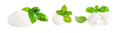 Mozzarella peyniri izole edildi. Geleneksel İtalyan Mozzarella topu 
