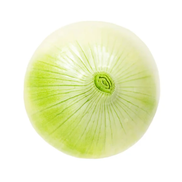 White Onion terisolasi. Segar Bulb sayuran Onion menutup. T — Stok Foto