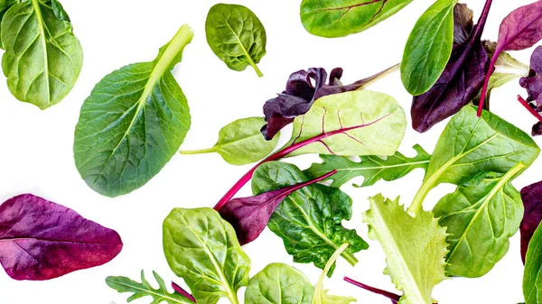 Flying Salad Leaves Pattern. Fresh leaves  isolated on white bac — Stock Photo, Image