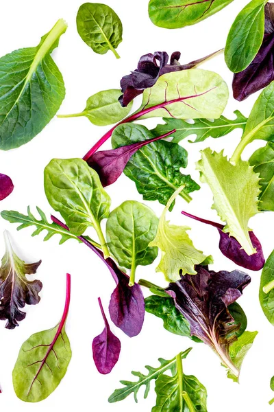 Візерунок листя салату. Свіжі листя ізольовані на білому фоні — стокове фото