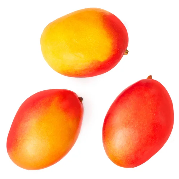 Diseño creativo hecho de fruta de mango integral. Bac abstracto tropical — Foto de Stock