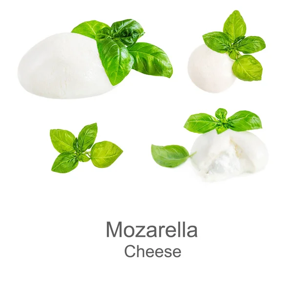 Collectie Italiaanse Mozzarella kaas geïsoleerd. Mozzarellabal — Stockfoto