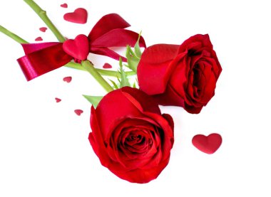Beyaz arka planda izole edilmiş kalpleri olan kırmızı bir gül. Şenlikli Valen
