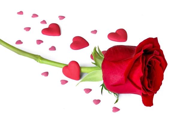 Rose rouge avec des cœurs isolés sur fond blanc. Valen festif — Photo