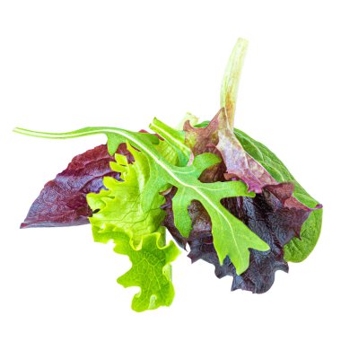 Salata yaprakları izole edilmiş. Salata yapraklarını ıspanak, kabak, marul, roka ile karıştırın. Kapat.
