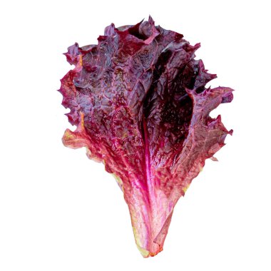 Marul beyaz arka plan üzerinde izole yaprakları. Taze Salata yaprağı yakın.