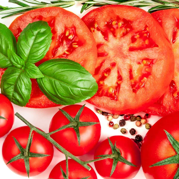 Layout Criativo Feito Tomate Ervas Especiarias Tomates Vermelhos Folhas Manjericão — Fotografia de Stock