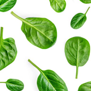 Beyaz arka planda izole edilmiş taze ıspanak yapraklarından oluşan yaratıcı bir düzen. Şablon. Yeşil bebek ıspanak Düz yerde. 