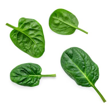 Beyaz arka planda izole edilmiş taze ıspanak yapraklarından oluşan yaratıcı bir düzen. 