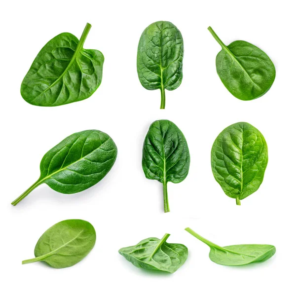 Spinach Creative Layout Made Spinach Leaves Isolated White Background Top — Stockfoto