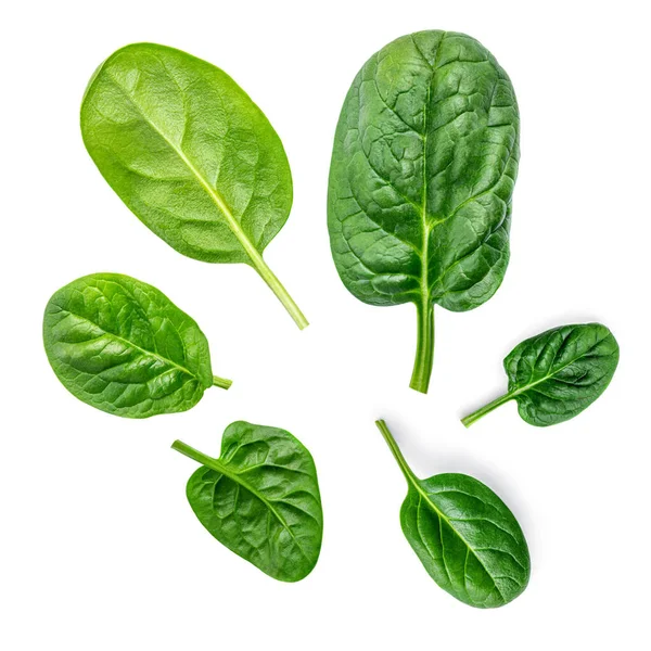 Spinach Creative Layout Made Spinach Leaves Isolated White Background Top — Stock Photo, Image